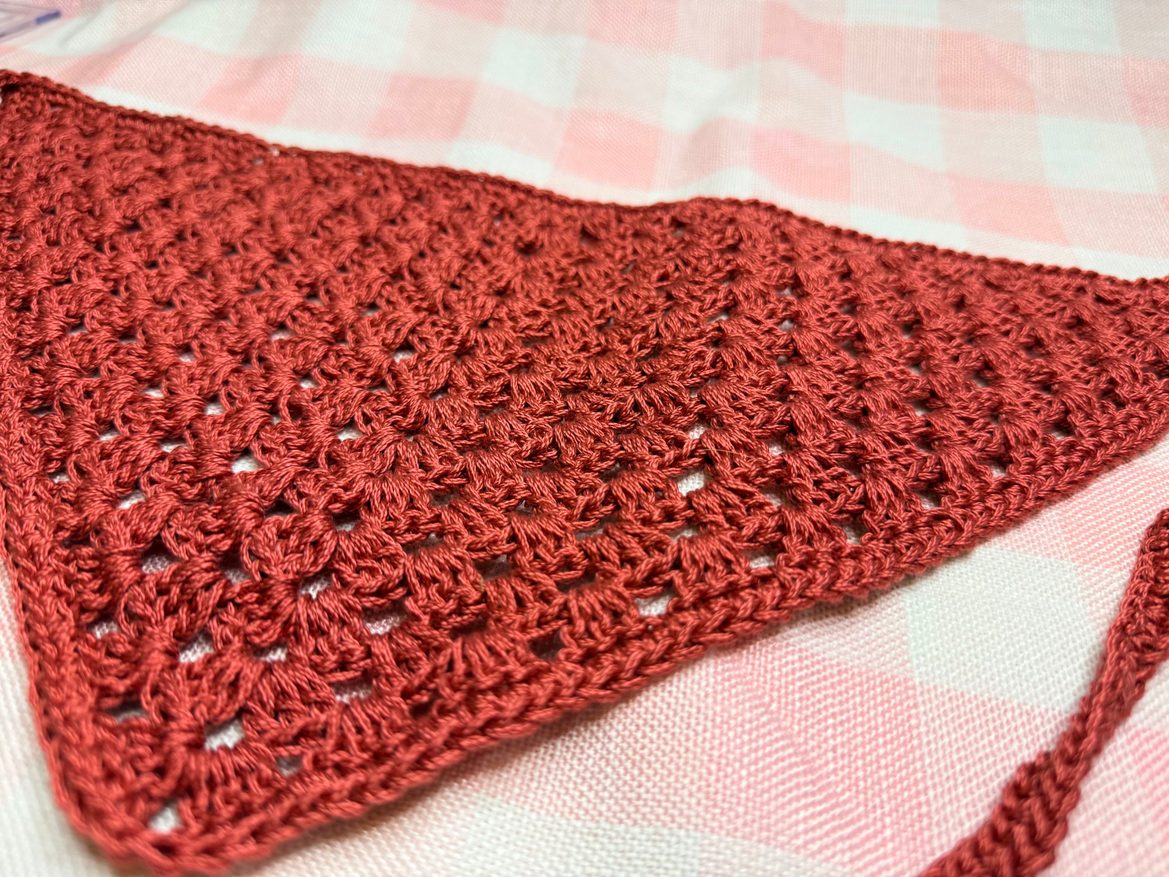 Burgundy Bandana