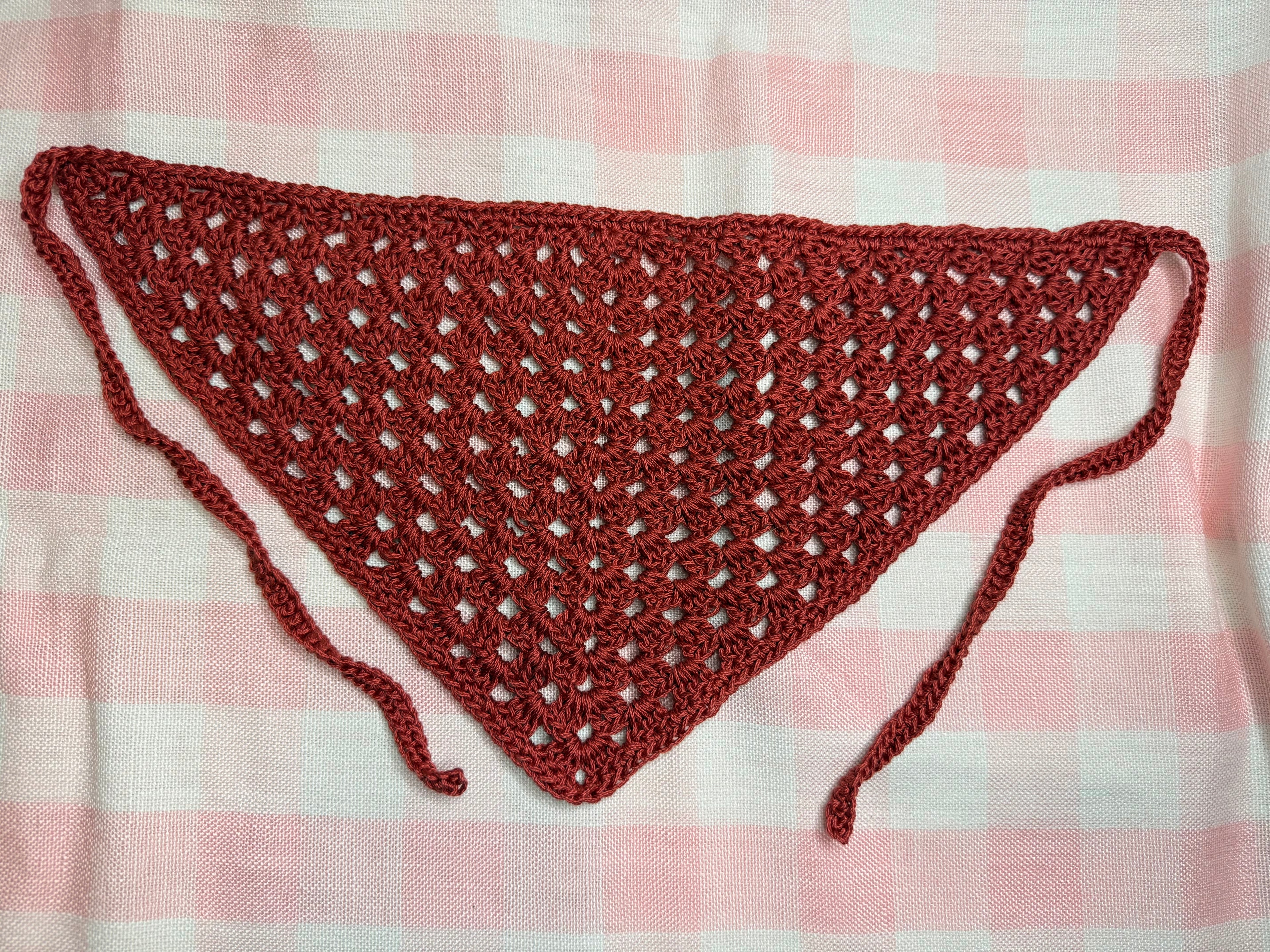 Burgundy Bandana